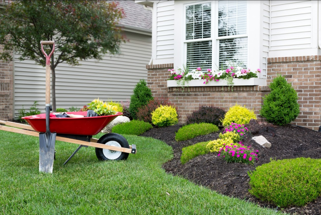 Mantenimiento de jardines: Servicios de limpieza de TLQ Servicios Mantenimiento de jardines: Servicios de limpieza de TLQ Servicios