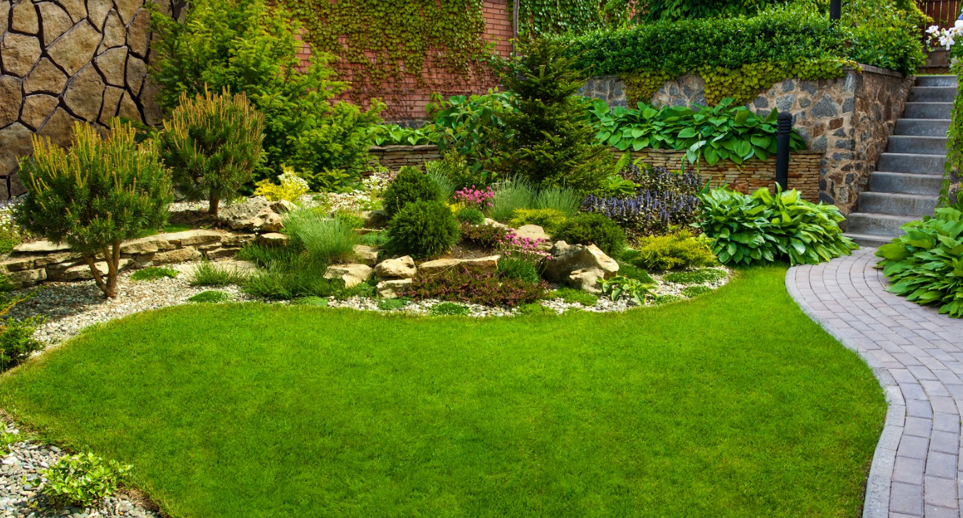 Mantenimiento de jardines: Servicios de limpieza de TLQ Servicios Mantenimiento de jardines: Servicios de limpieza de TLQ Servicios