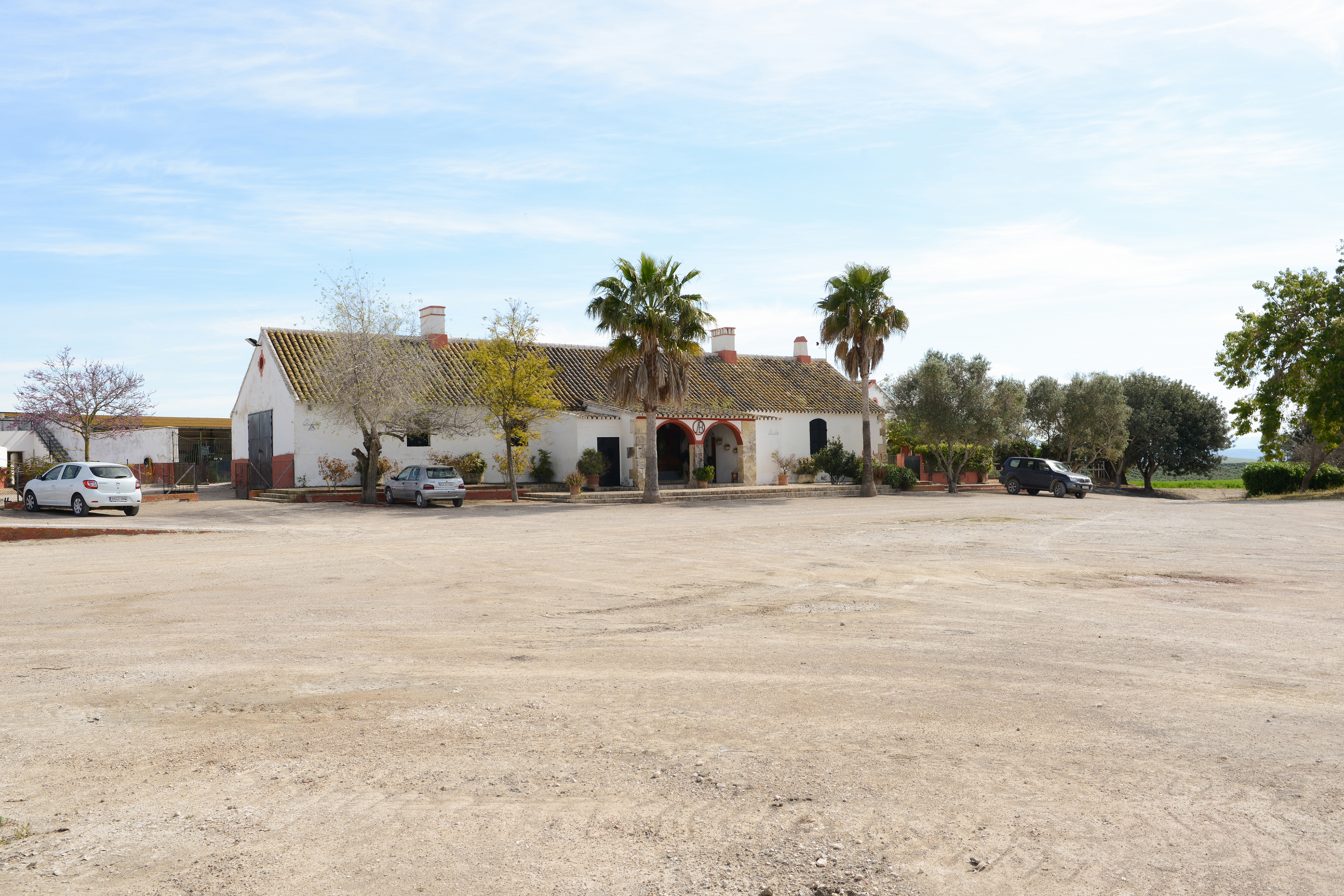 Venta de potros en Jerez de la Frontera