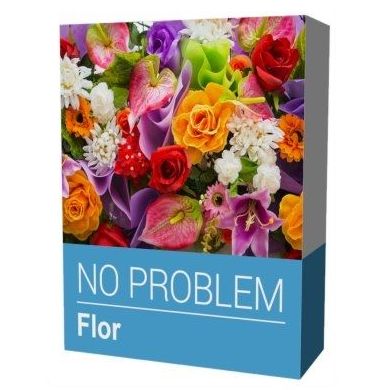 NO PROBLEM FLOR: Productos y Servicios de Stylepc NO PROBLEM FLOR: Productos y Servicios de Stylepc