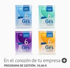 ClassicGes 6 : Productos y Servicios de Stylepc ClassicGes 6 : Productos y Servicios de Stylepc