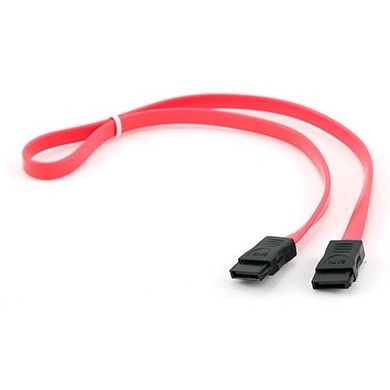 iggual CABLE SATA DATOS 50 CM : Productos y Servicios de Stylepc iggual CABLE SATA DATOS 50 CM : Productos y Servicios de Stylepc