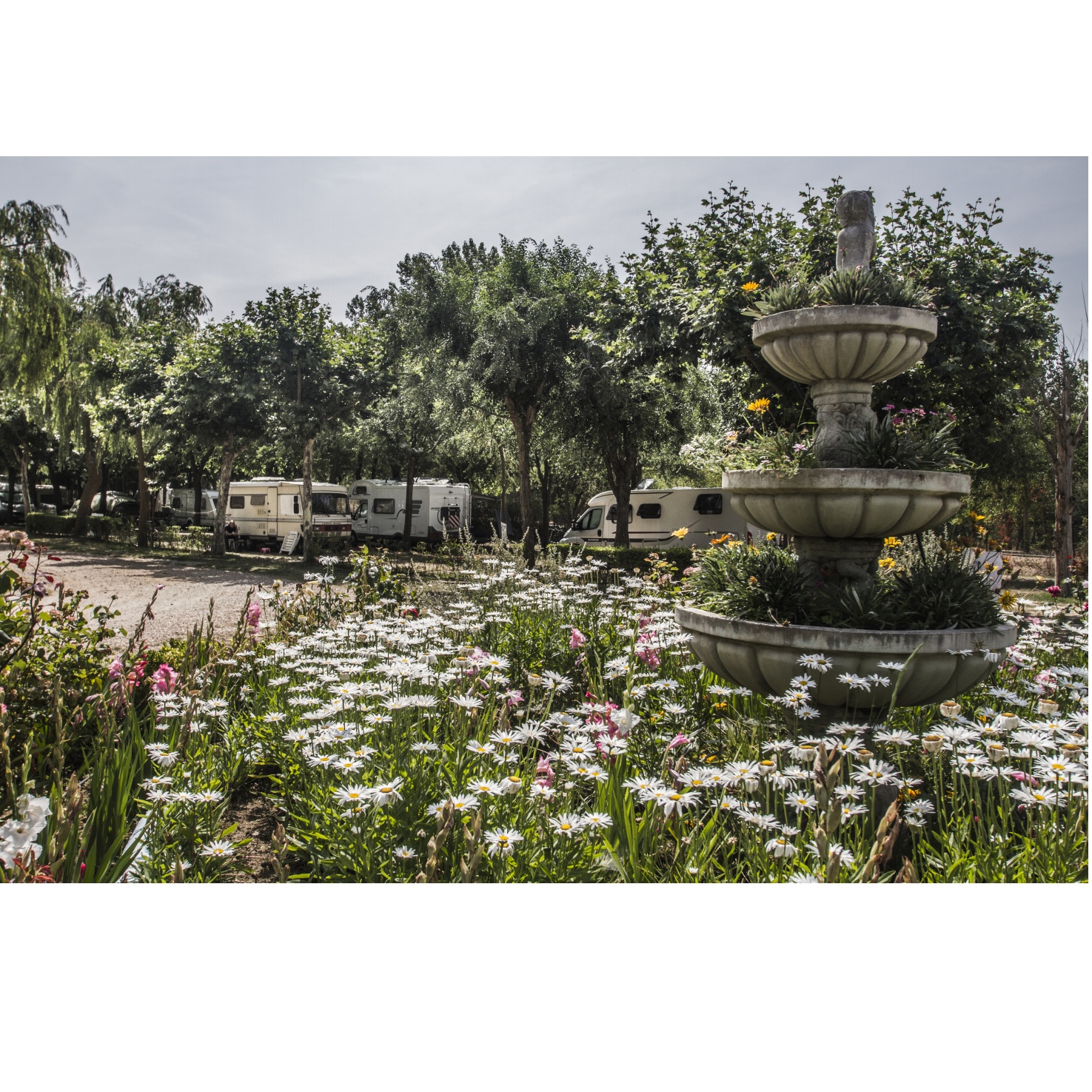 Precios: Servicios de Camping Don Quijote Precios: Servicios de Camping Don Quijote