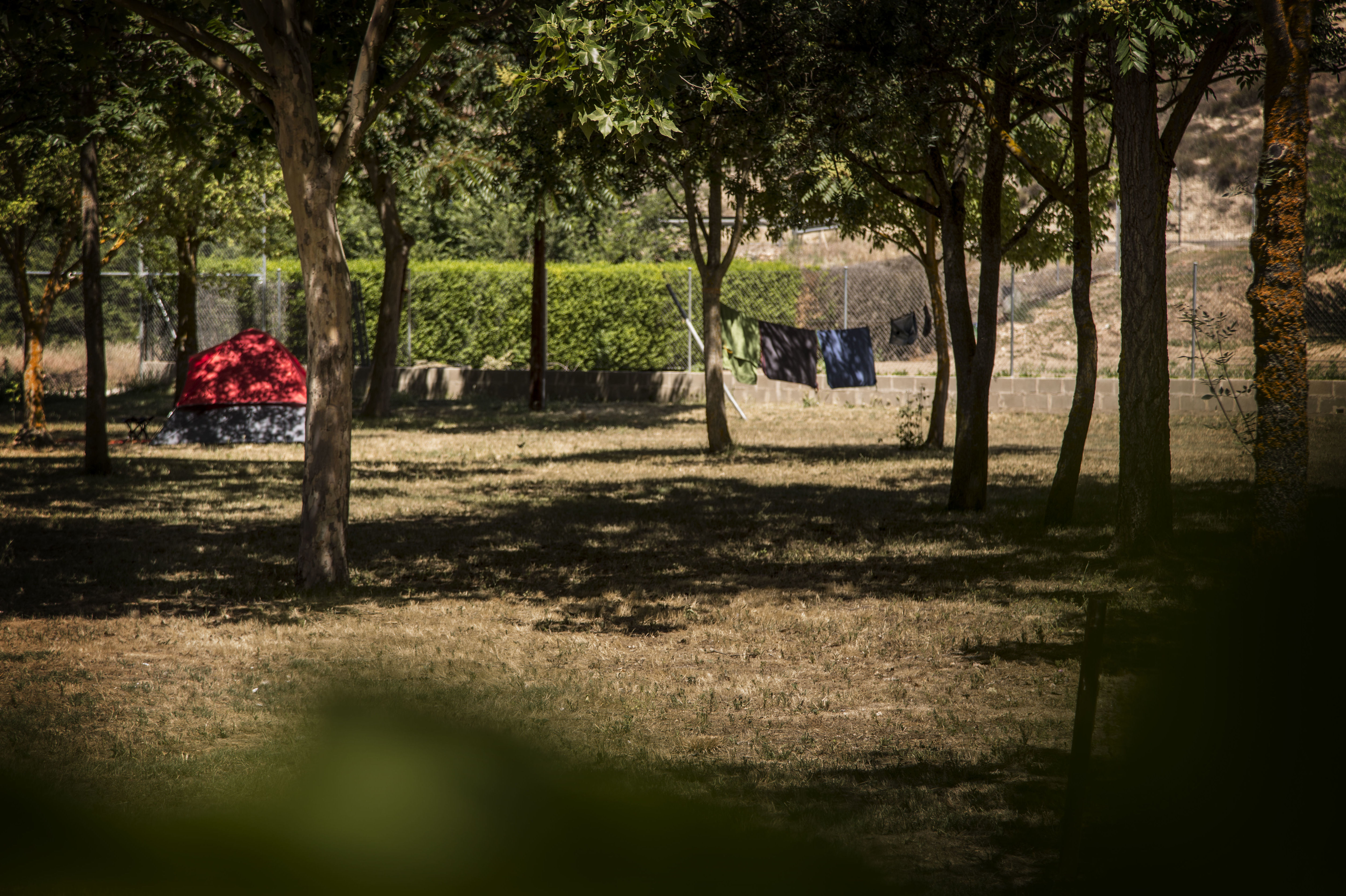 Foto 4 de Camping en Cabrerizos | Camping Don Quijote