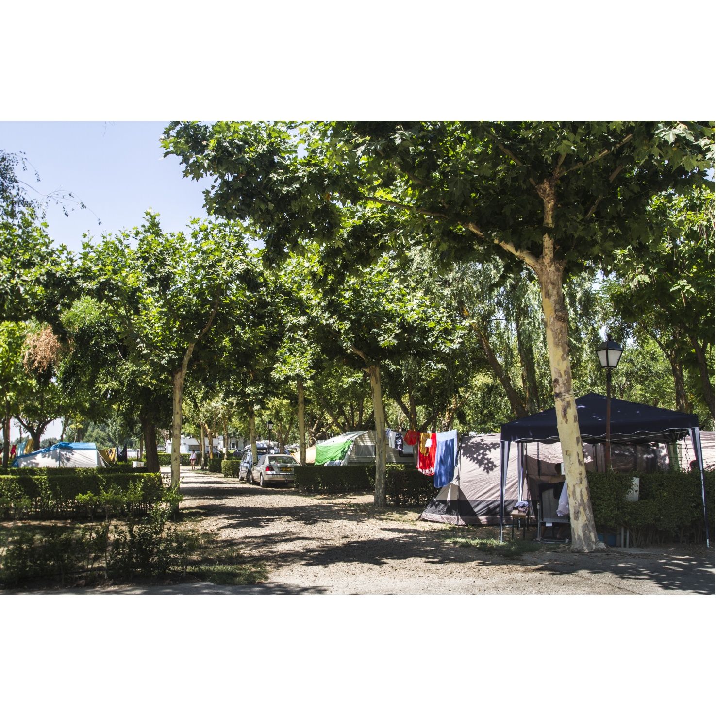 Parcelas: Servicios de Camping Don Quijote Parcelas: Servicios de Camping Don Quijote