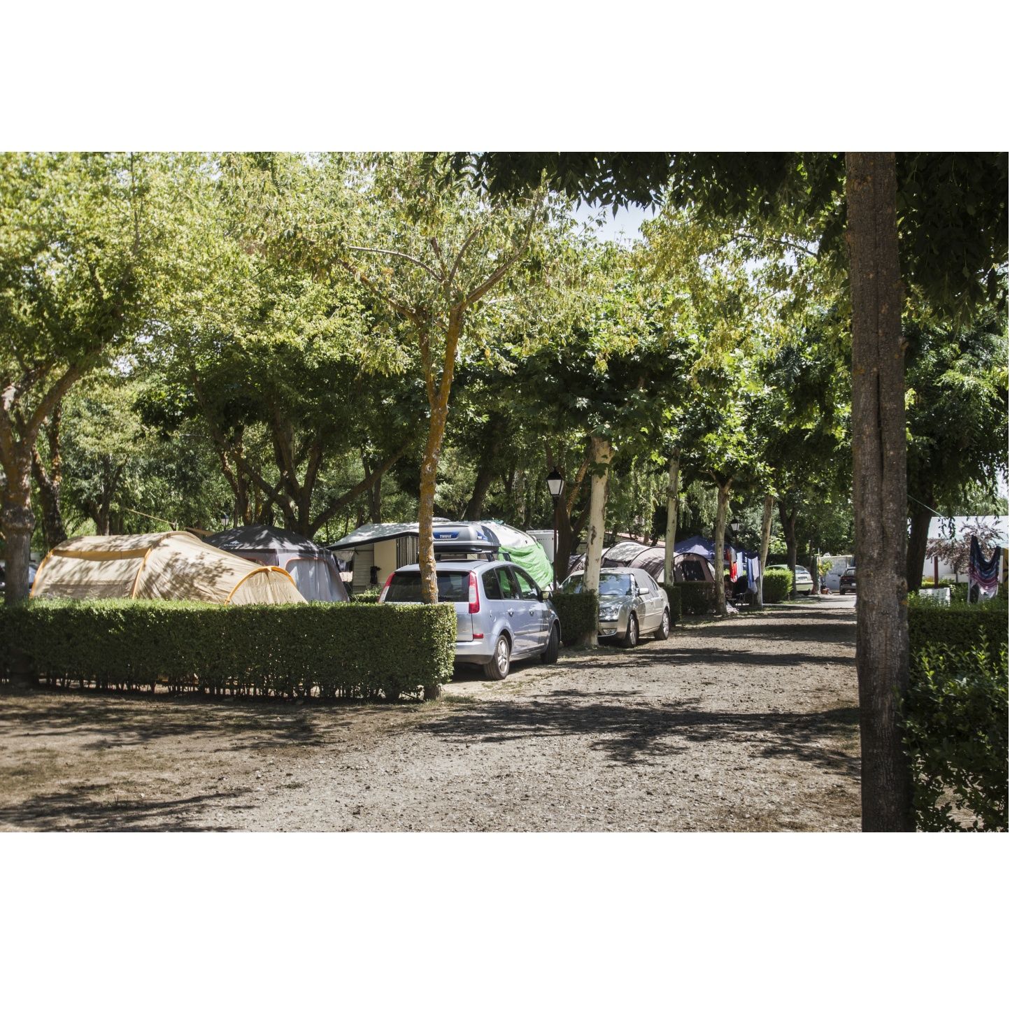 Parcelas: Servicios de Camping Don Quijote Parcelas: Servicios de Camping Don Quijote