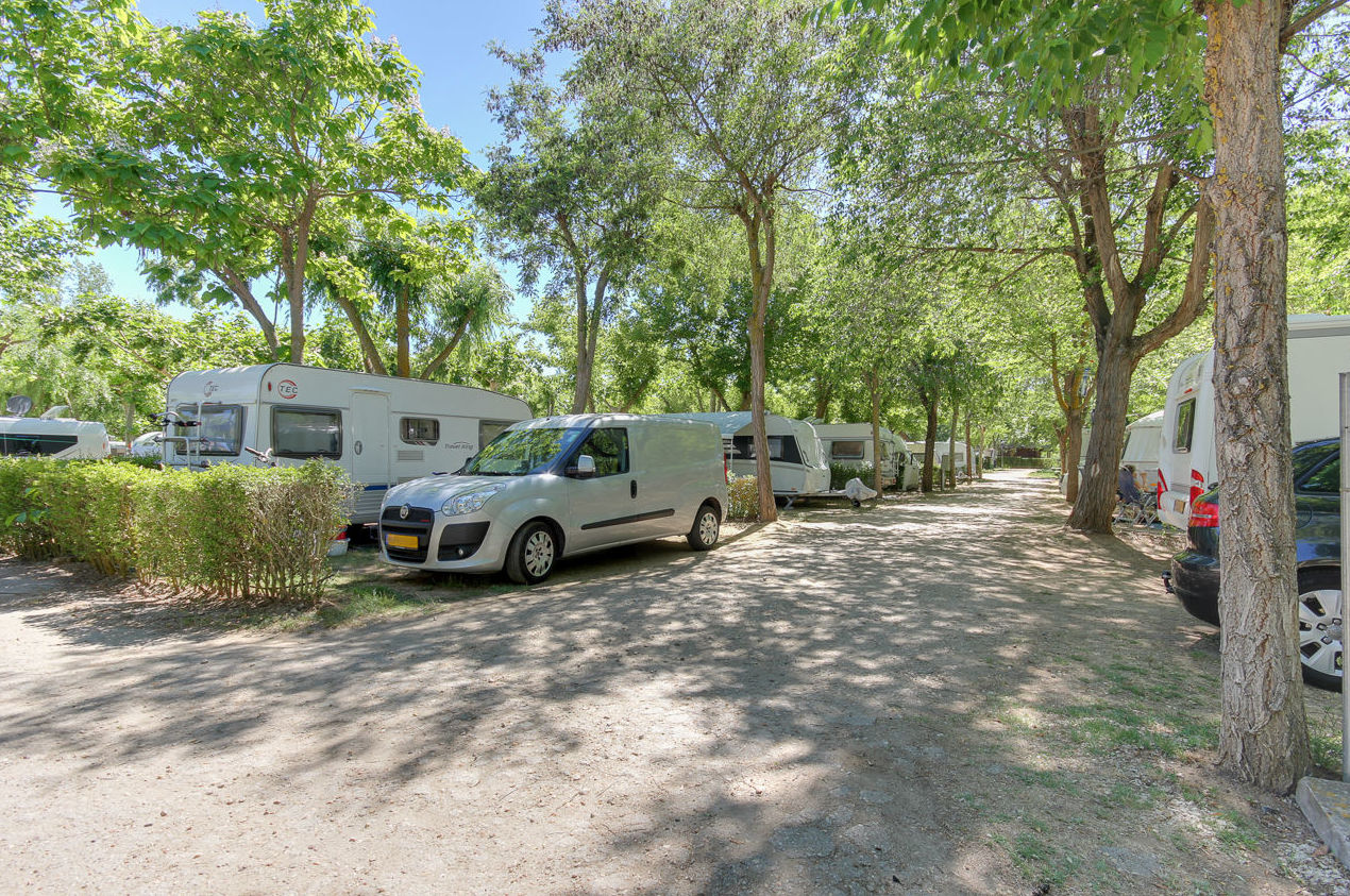 Parcelas: Servicios de Camping Don Quijote Parcelas: Servicios de Camping Don Quijote