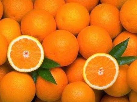Venta: Productos y Servicios de Cooperativa Agrícola Ganadera Almussafes Venta: Productos y Servicios de Cooperativa Agrícola Ganadera Almussafes