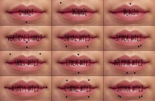 Piercing: Servicios de In Memory Tattoo Piercing: Servicios de In Memory Tattoo