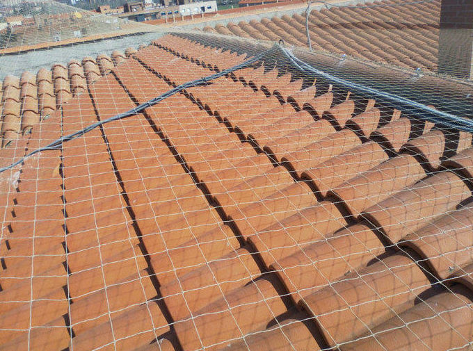 Control de aves: Trabajos de PGA Verticalidad Control de aves: Trabajos de PGA Verticalidad