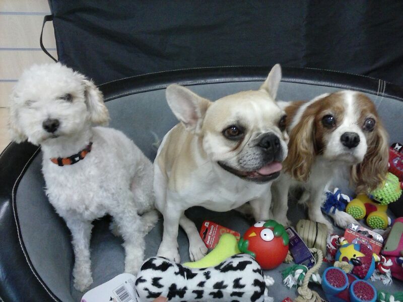 Relajación y masajes: Servicios de Estilisme Cani Bouboule Relajación y masajes: Servicios de Estilisme Cani Bouboule