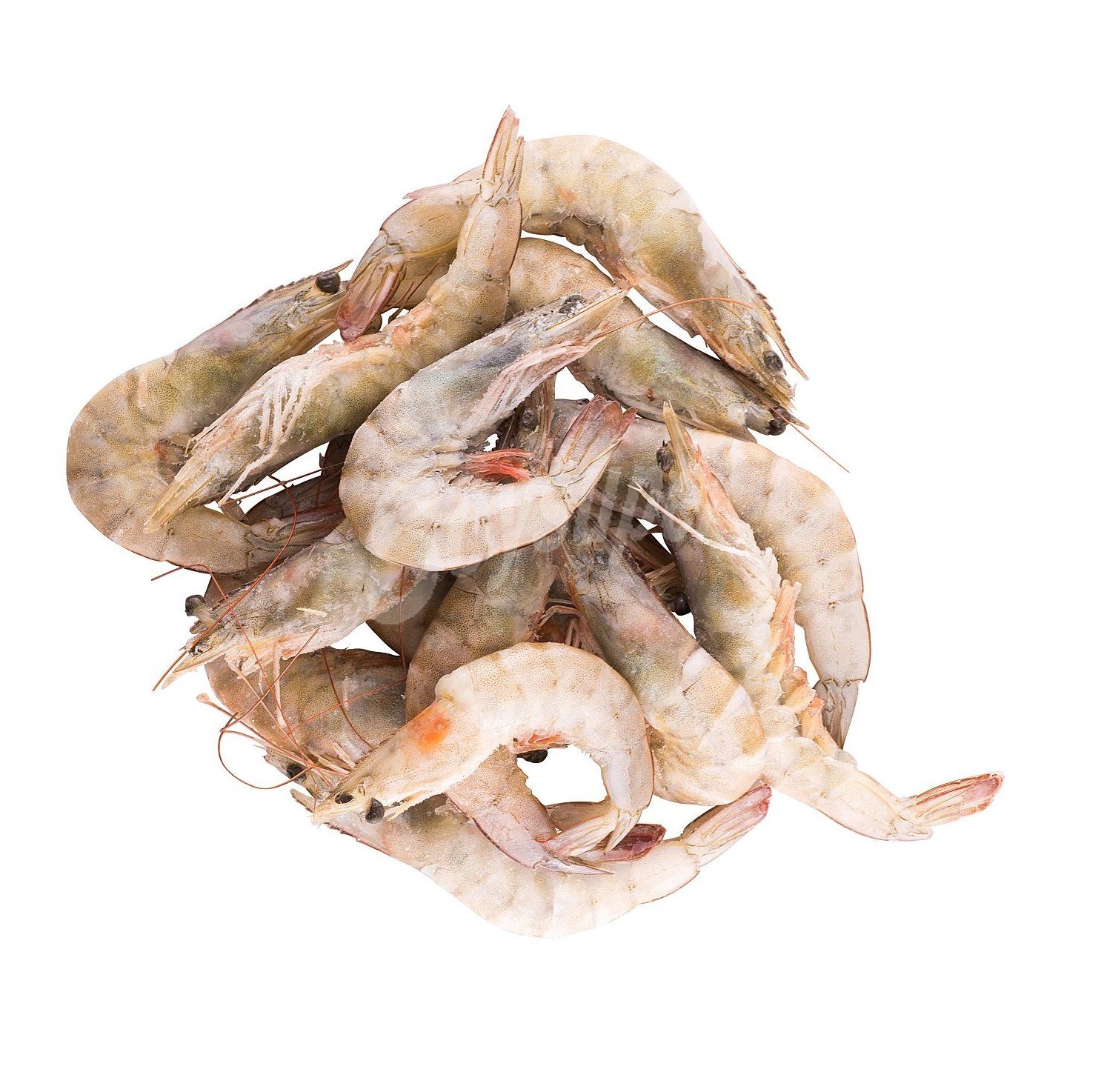 Langostino Crudo Langostino Crudo