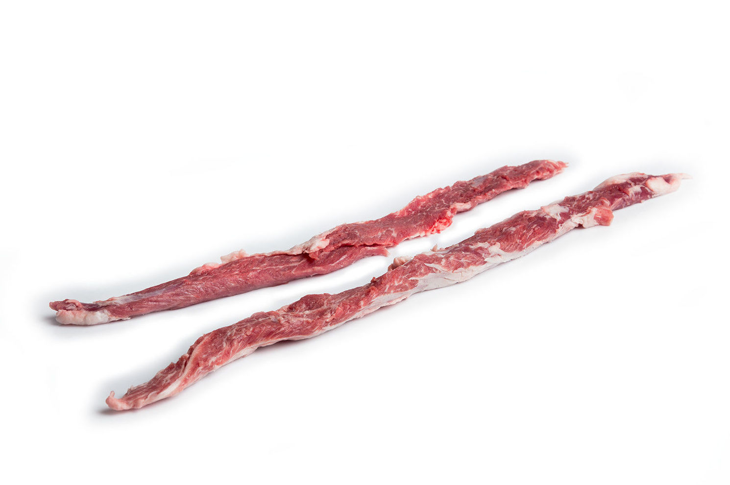 Lagartito Ibérico Lagartito Ibérico