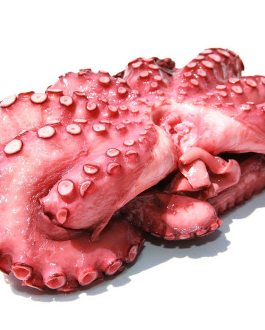 Pulpo Cocido 300/600 Pulpo Cocido 300/600