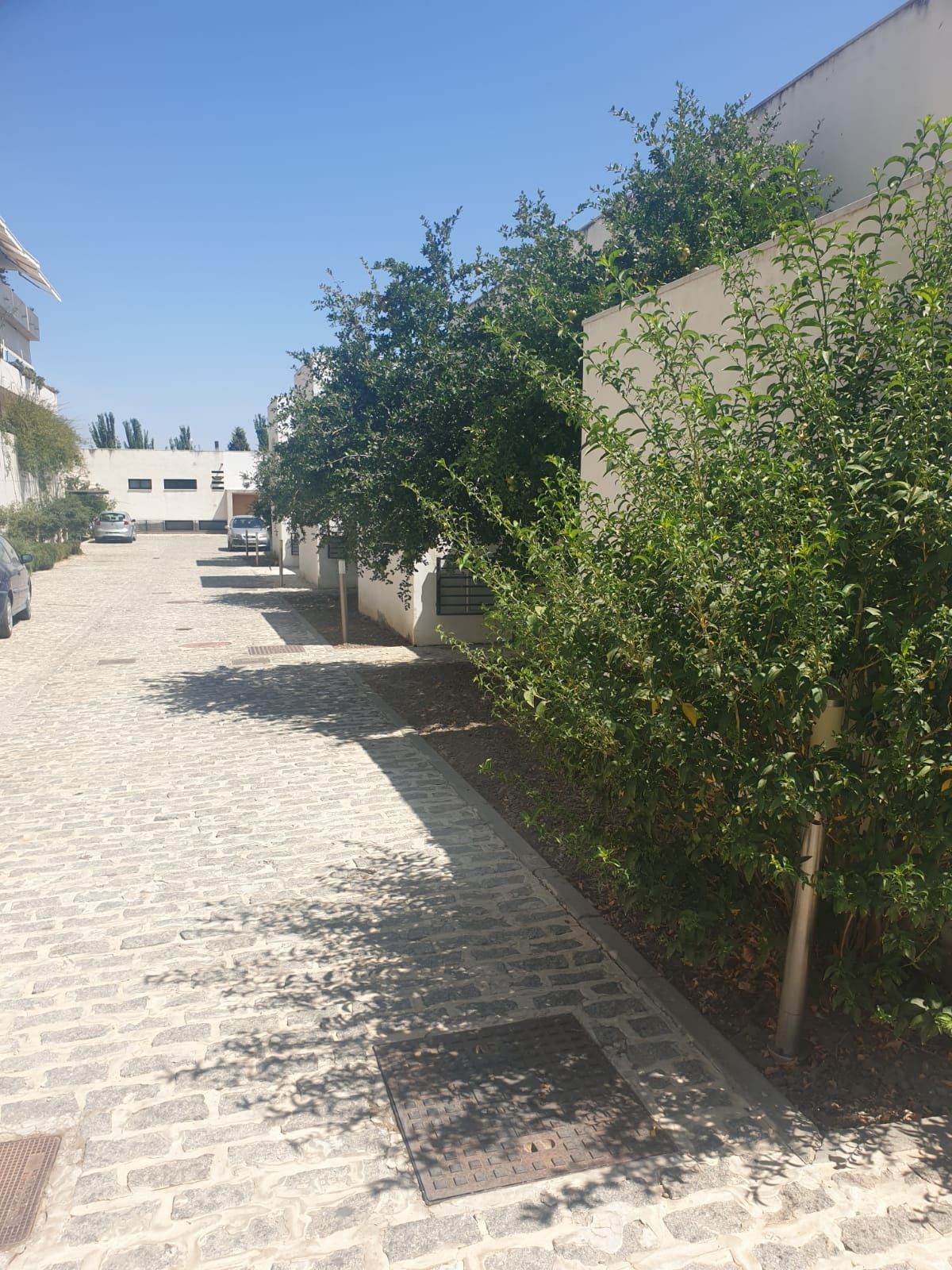 Granada, campo de golf Las Gabías: Inmuebles de Inmobiliaria María Díaz Granada, campo de golf Las Gabías: Inmuebles de Inmobiliaria María Díaz