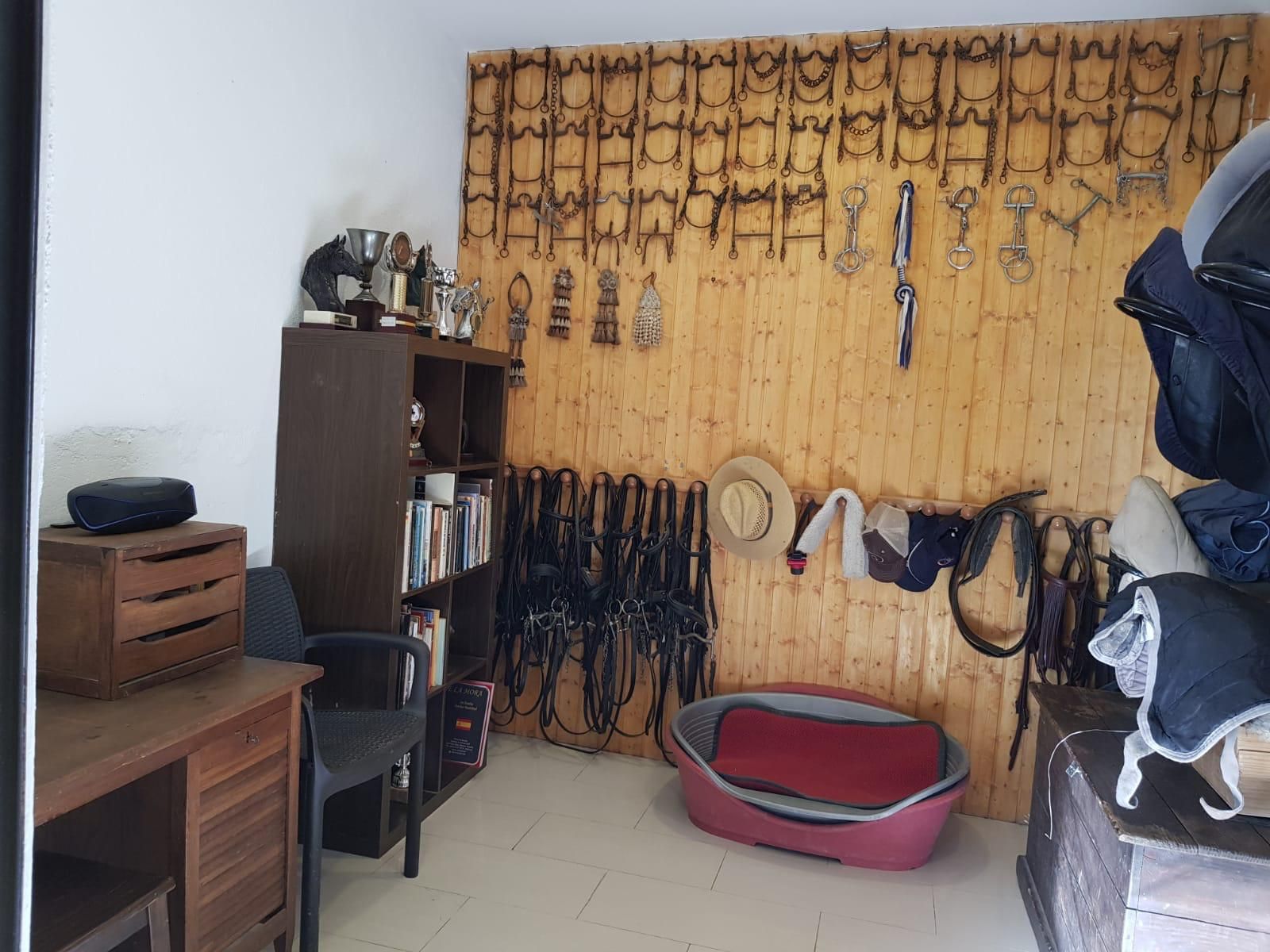 Pupilaje de caballos: Servicios de Hípica Sol y Luna Pupilaje de caballos: Servicios de Hípica Sol y Luna