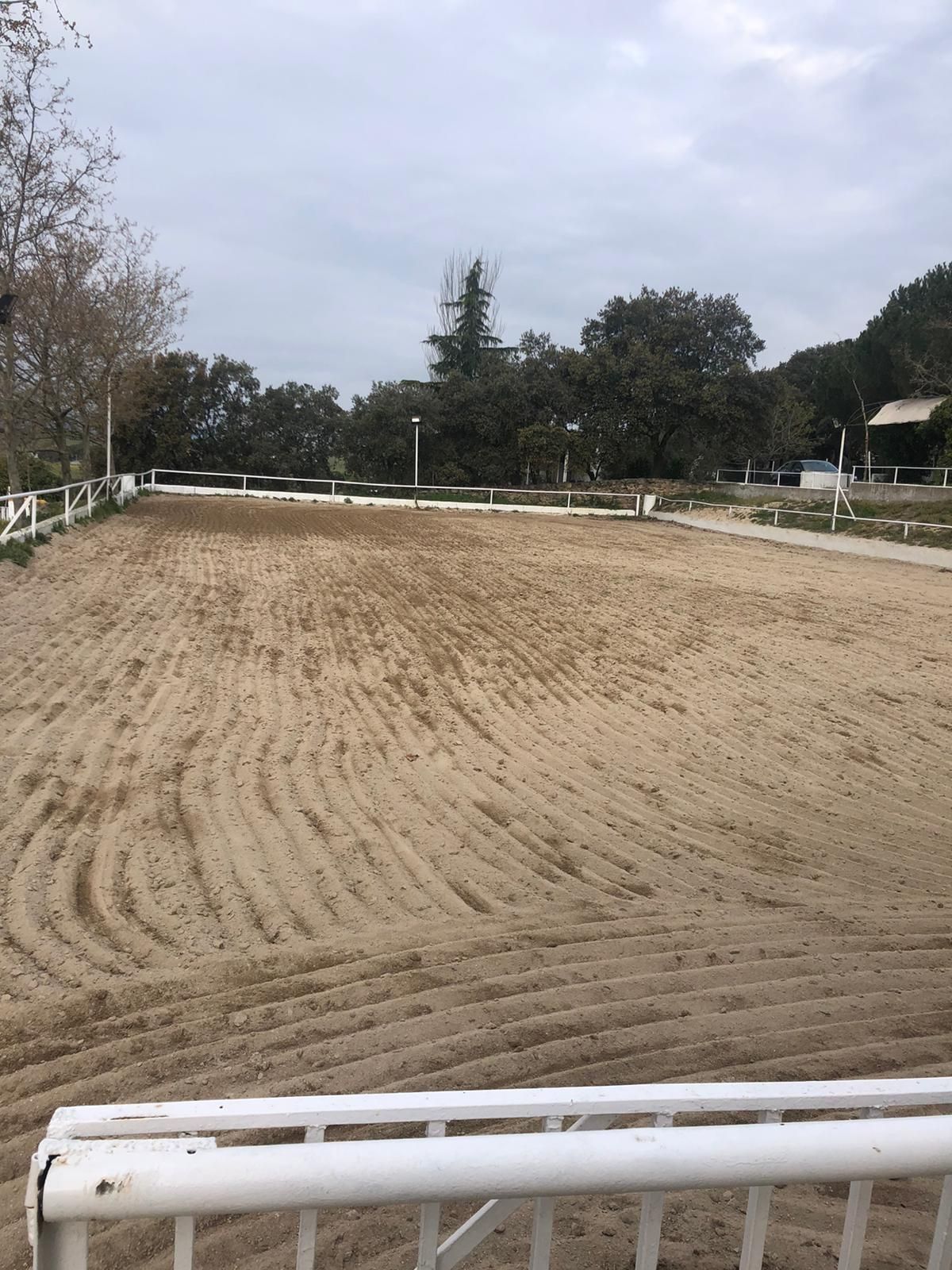 Pupilaje de caballos: Servicios de Hípica Sol y Luna Pupilaje de caballos: Servicios de Hípica Sol y Luna