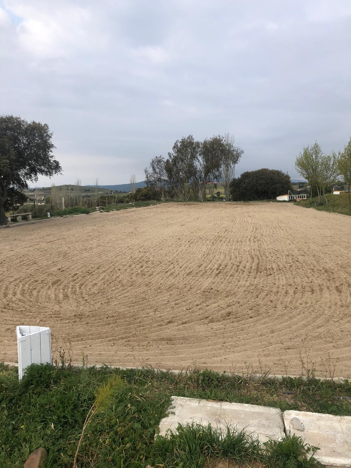 Pupilaje de caballos: Servicios de Hípica Sol y Luna Pupilaje de caballos: Servicios de Hípica Sol y Luna