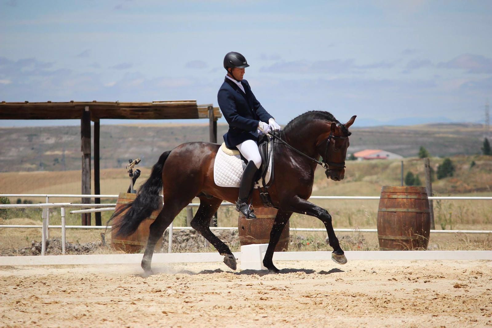 Doma y preparación de caballos: Servicios de Hípica Sol y Luna Doma y preparación de caballos: Servicios de Hípica Sol y Luna