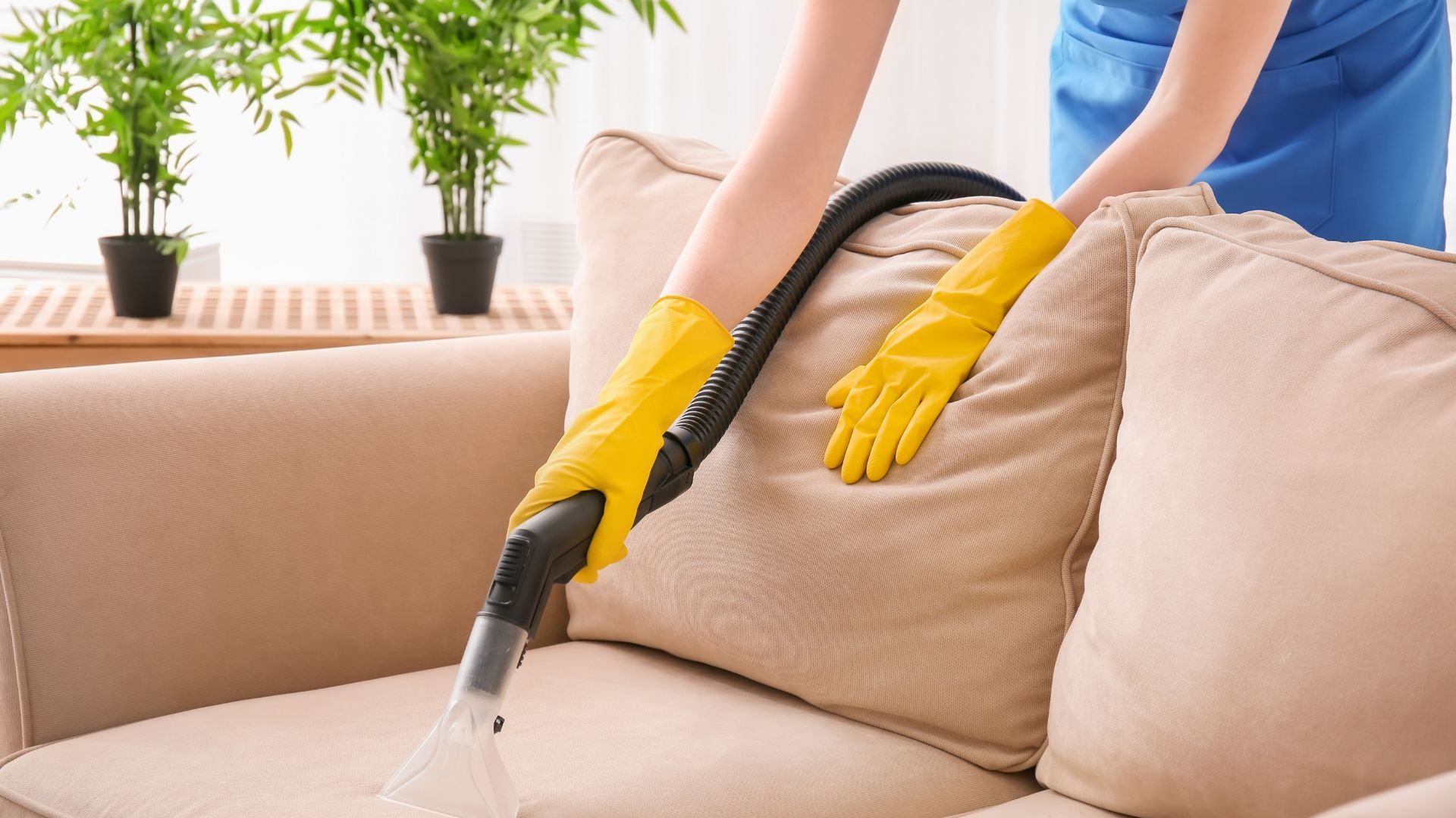 Nuevo servicio de limpieza de sofás a domicilio
