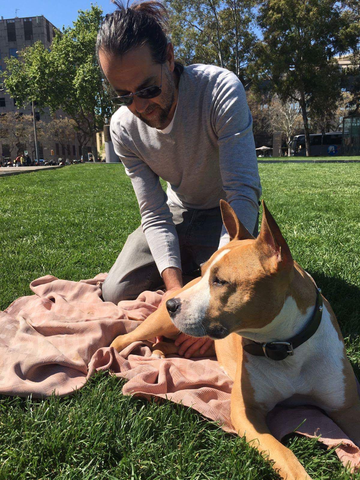 Terapeuta para animales: Método HEIKŌ de Método HEIKŌ Terapeuta para animales: Método HEIKŌ de Método HEIKŌ