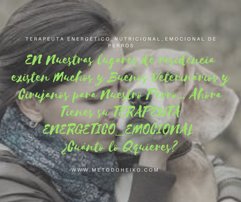 Terapeuta para animales: Método HEIKŌ de Método HEIKŌ Terapeuta para animales: Método HEIKŌ de Método HEIKŌ