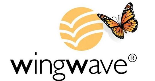 Coaching WingWave® y PNL: Método HEIKŌ de Método HEIKŌ Coaching WingWave® y PNL: Método HEIKŌ de Método HEIKŌ