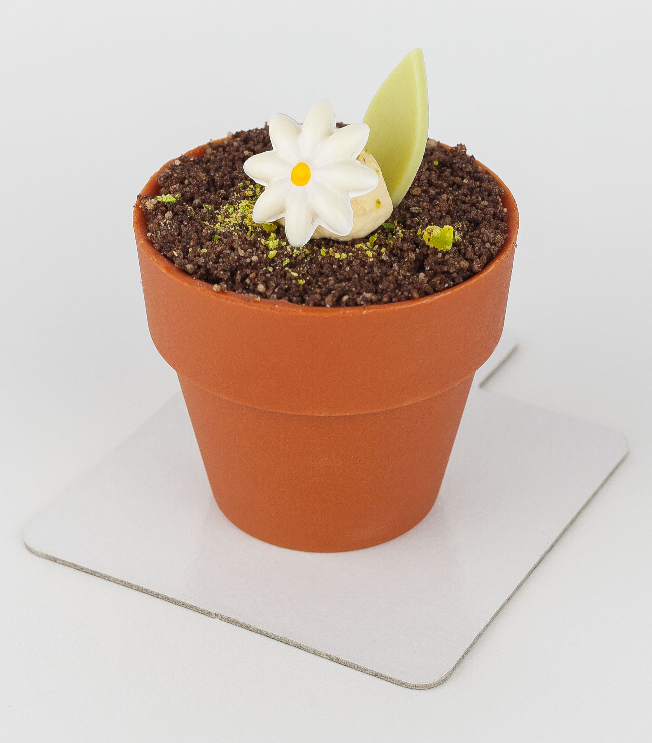 ¡Manolo, riégame la planta!: Nuestros Productos de Pastelería Creativa Javier Ramos ¡Manolo, riégame la planta!: Nuestros Productos de Pastelería Creativa Javier Ramos