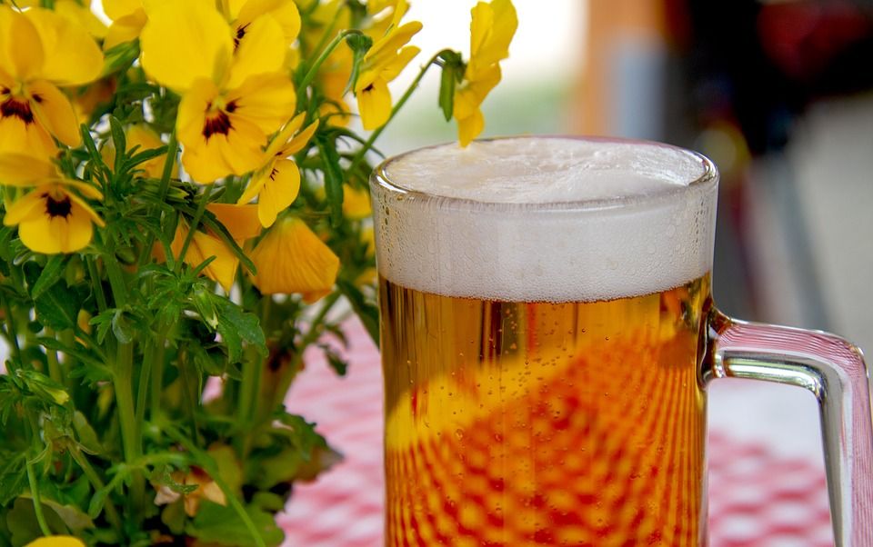 Vinos / Cerveza: Especialidades de Galeón Raíña Vinos / Cerveza: Especialidades de Galeón Raíña