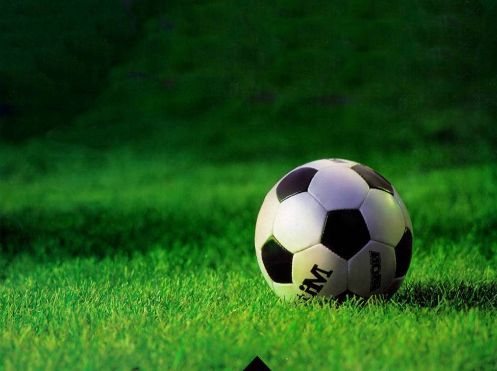 Sport TV: Servicios y eventos de Löwen Pub Sport TV: Servicios y eventos de Löwen Pub