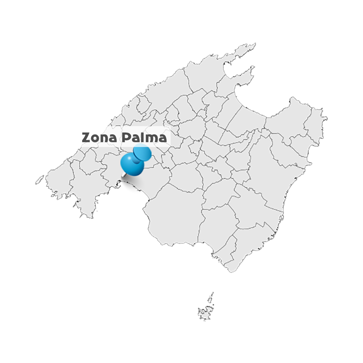 Zona Palma: Servicios de Transportes Reynés
