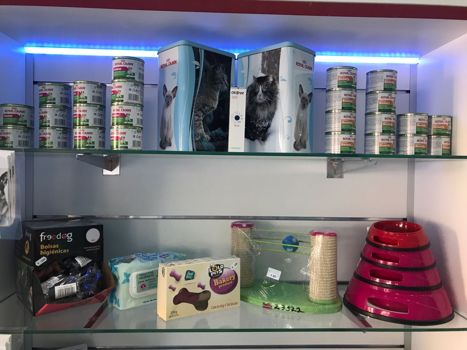 Alimentación: Productos y servicios de Academia de Estética Canina Woof Meow Alimentación: Productos y servicios de Academia de Estética Canina Woof Meow