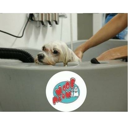 Peluquería y estilismo: Productos y servicios de Academia de Estética Canina Woof Meow Peluquería y estilismo: Productos y servicios de Academia de Estética Canina Woof Meow