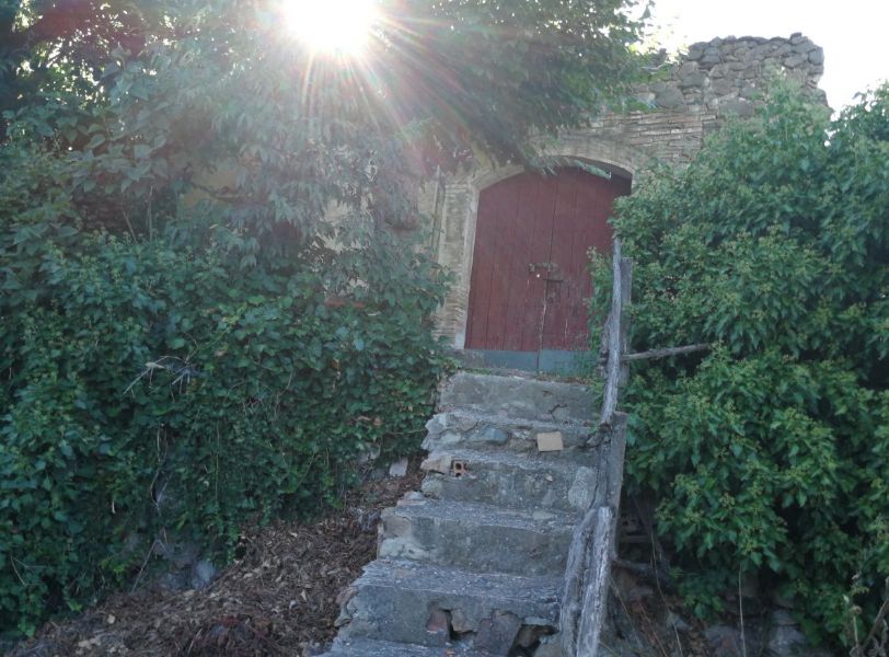 R-481 - Venta Finca rústica en Falset: Inmuebles y fincas de Immobles Priorat R-481 - Venta Finca rústica en Falset: Inmuebles y fincas de Immobles Priorat