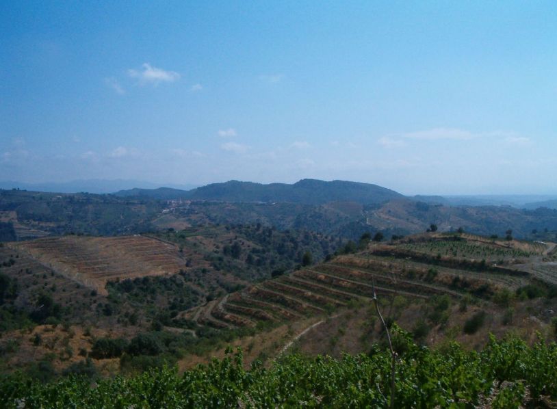 Ref.- R-121 - Venta Finca rústica en Gratallops: Inmuebles y fincas de Immobles Priorat Ref.- R-121 - Venta Finca rústica en Gratallops: Inmuebles y fincas de Immobles Priorat