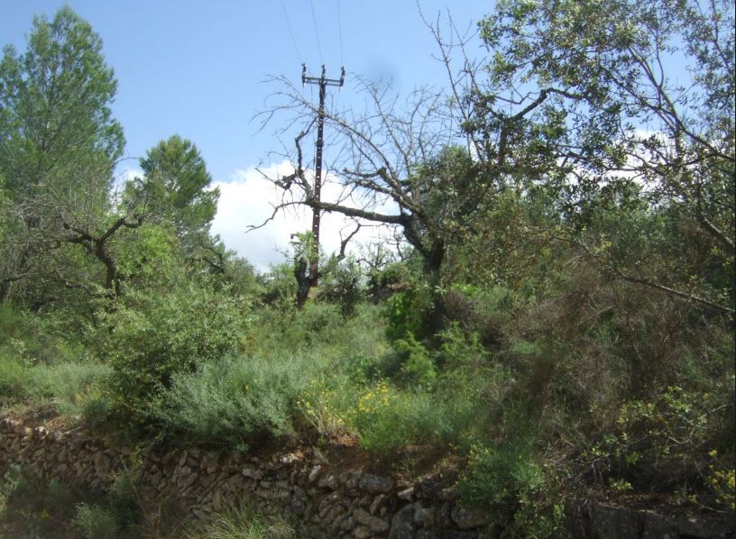 Ref.- R-463 Venta Finca rústica en Guiamets: Inmuebles y fincas de Immobles Priorat Ref.- R-463 Venta Finca rústica en Guiamets: Inmuebles y fincas de Immobles Priorat