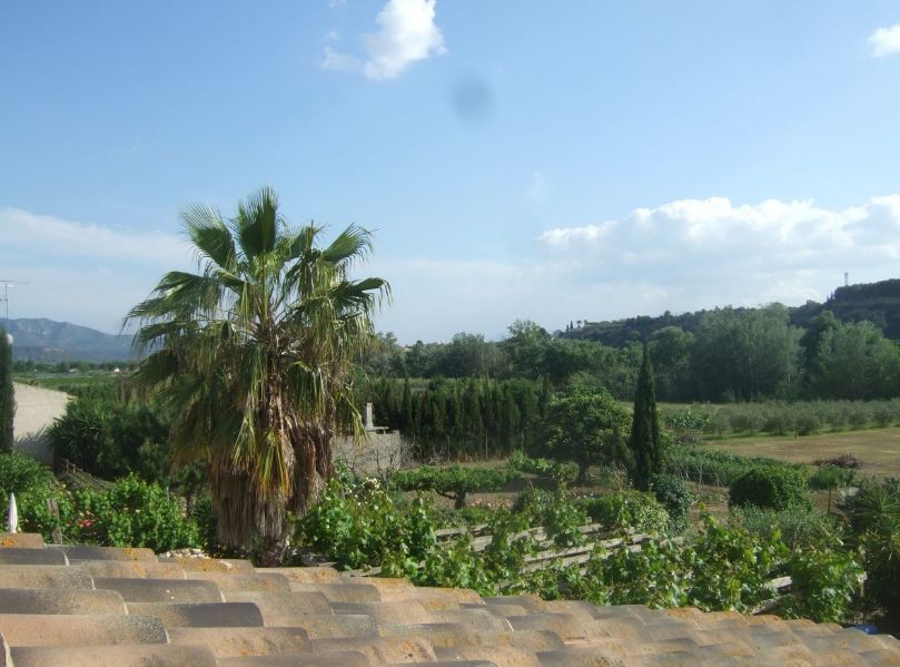 Ref.- R-466 - Venta Finca rústica en Falset: Inmuebles y fincas de Immobles Priorat Ref.- R-466 - Venta Finca rústica en Falset: Inmuebles y fincas de Immobles Priorat