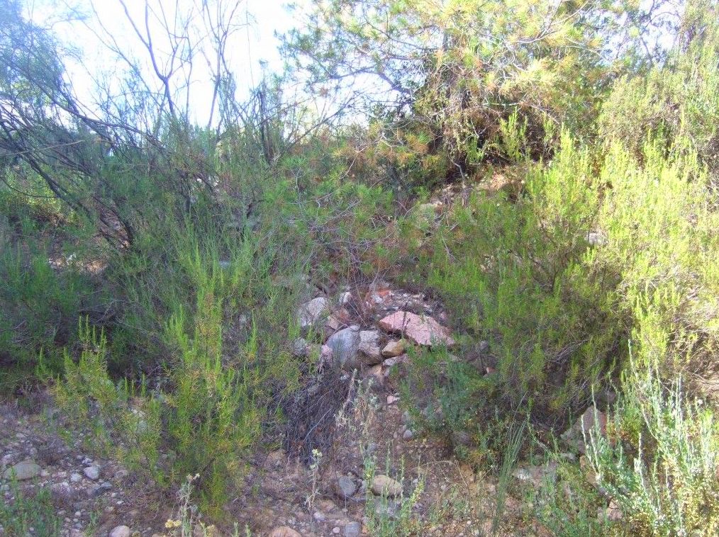 R-423. EL MASROIG (PRIORAT): Inmuebles y fincas de Immobles Priorat R-423. EL MASROIG (PRIORAT): Inmuebles y fincas de Immobles Priorat