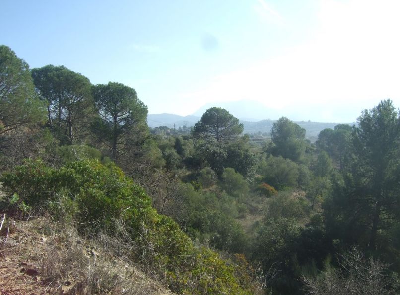 Ref.- R-459 - Venta Finca rústica en Masroig: Inmuebles y fincas de Immobles Priorat Ref.- R-459 - Venta Finca rústica en Masroig: Inmuebles y fincas de Immobles Priorat