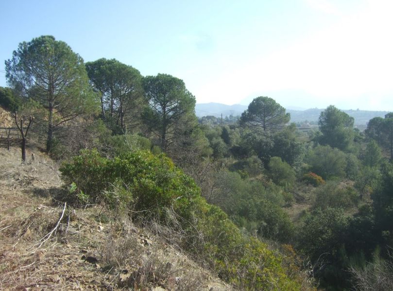 Ref.- R-459 - Venta Finca rústica en Masroig: Inmuebles y fincas de Immobles Priorat Ref.- R-459 - Venta Finca rústica en Masroig: Inmuebles y fincas de Immobles Priorat