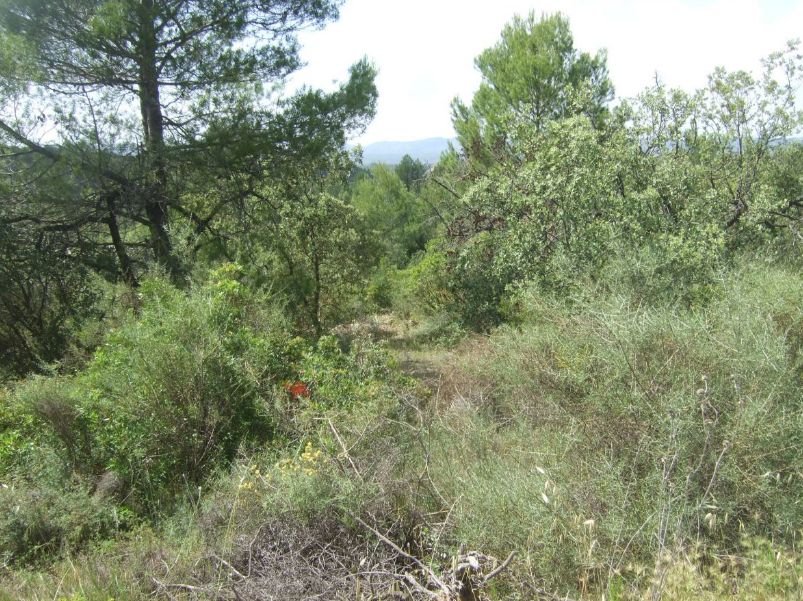 Ref.- R-463 Venta Finca rústica en Guiamets: Inmuebles y fincas de Immobles Priorat Ref.- R-463 Venta Finca rústica en Guiamets: Inmuebles y fincas de Immobles Priorat