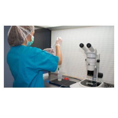 Fecundación in Vitro: Servicios de Clínica Roquetas F.I.V. Fecundación in Vitro: Servicios de Clínica Roquetas F.I.V.