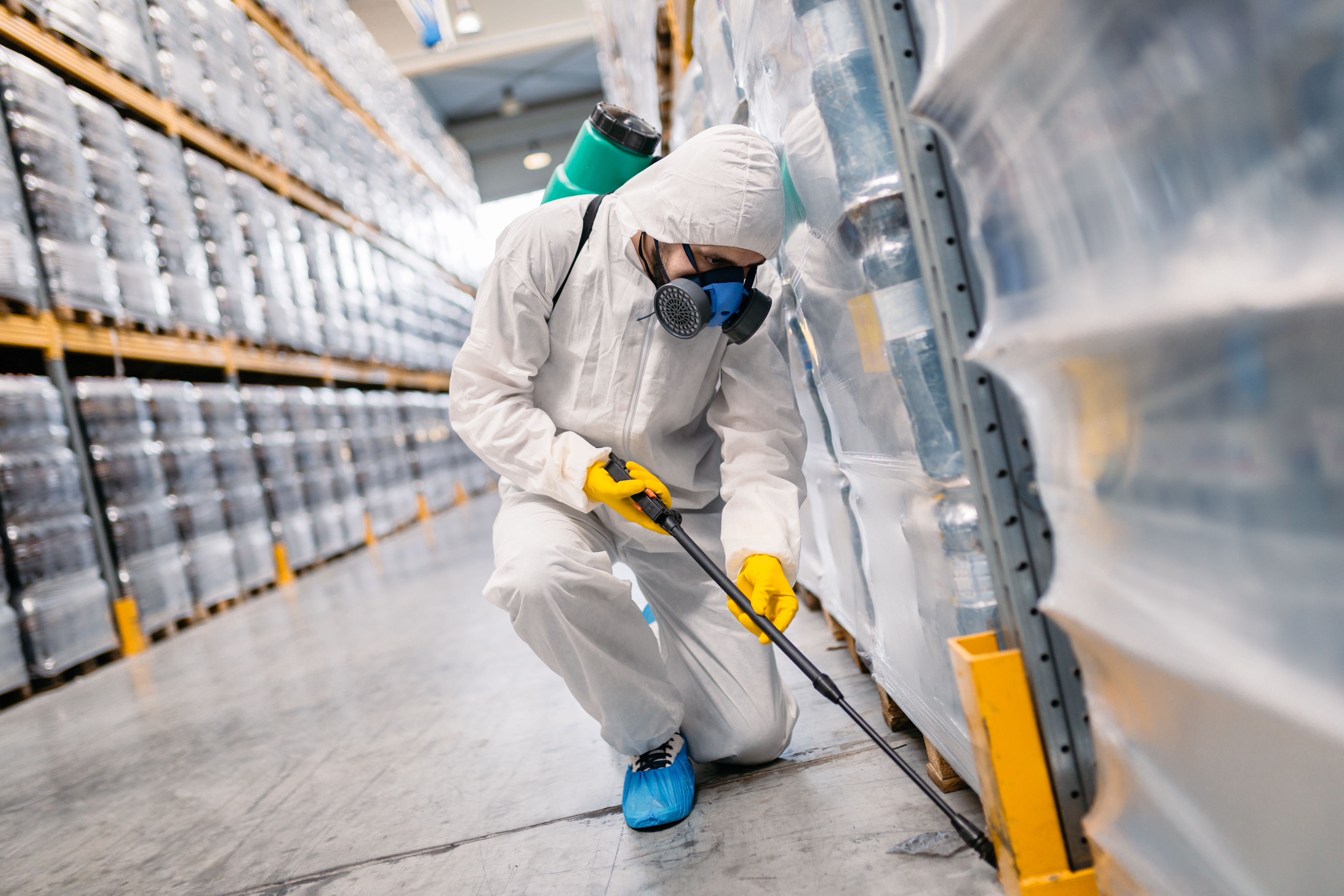 Tratamiento, desinfección y control de plagas: Servicios recogida de aceite de Reciclados Deter-Oil Tratamiento, desinfección y control de plagas: Servicios recogida de aceite de Reciclados Deter-Oil