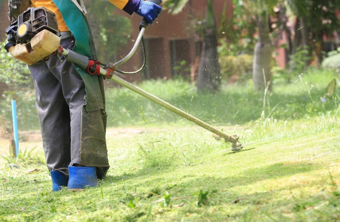Desbroce de parcelas: Servicios de Jardines Salvador Desbroce de parcelas: Servicios de Jardines Salvador