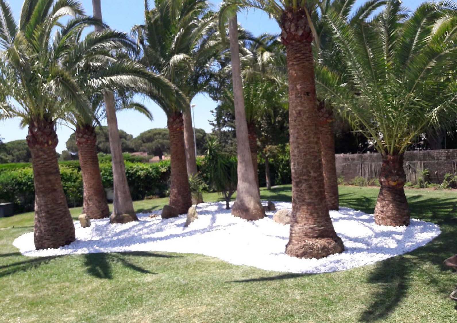 Proyectos: Servicios de Jardines Salvador Proyectos: Servicios de Jardines Salvador