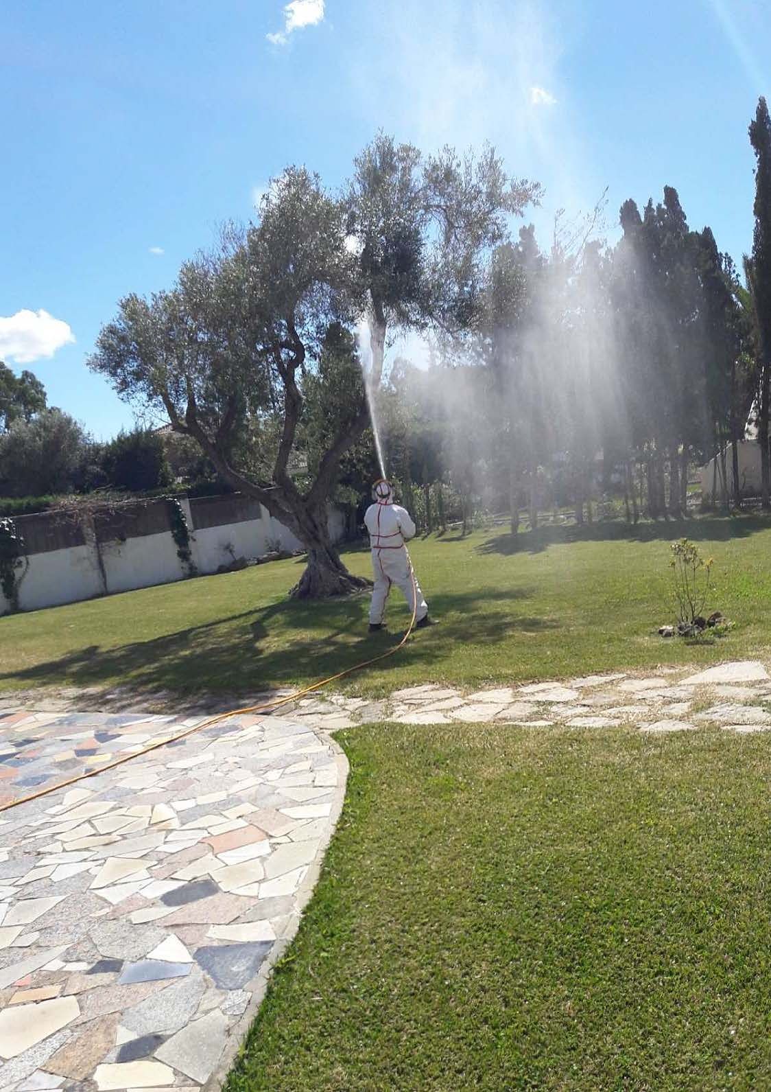 Tratamientos: Servicios de Jardines Salvador Tratamientos: Servicios de Jardines Salvador