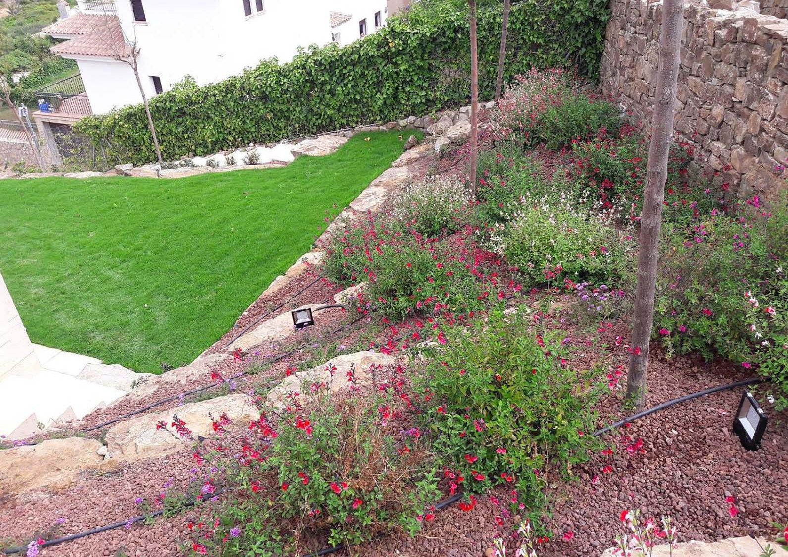 Jardinería: Servicios de Jardines Salvador Jardinería: Servicios de Jardines Salvador