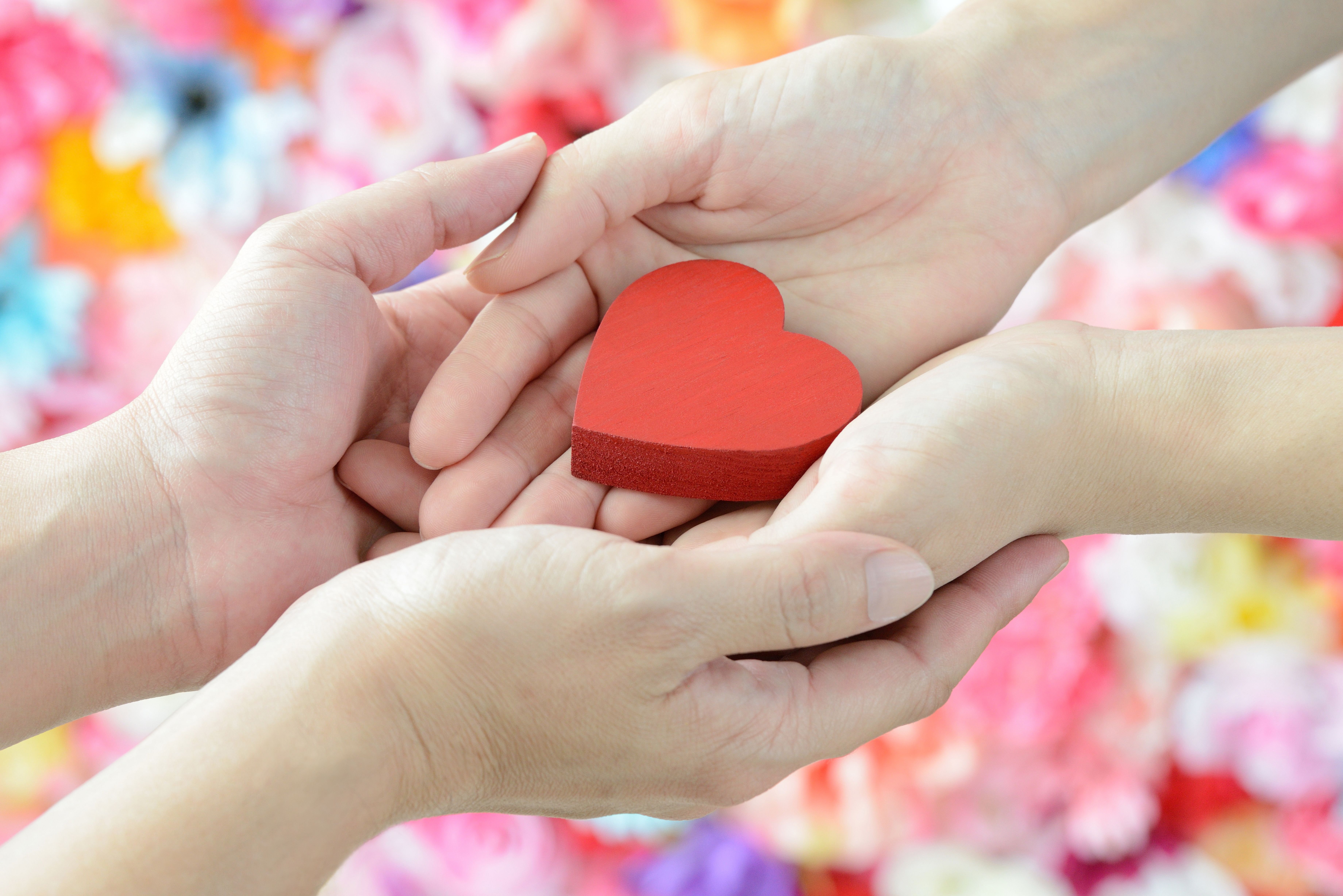 Asesoramiento y formación para cuidadores de personas mayores: Servicios de Centre de Dia Vincles Asesoramiento y formación para cuidadores de personas mayores: Servicios de Centre de Dia Vincles