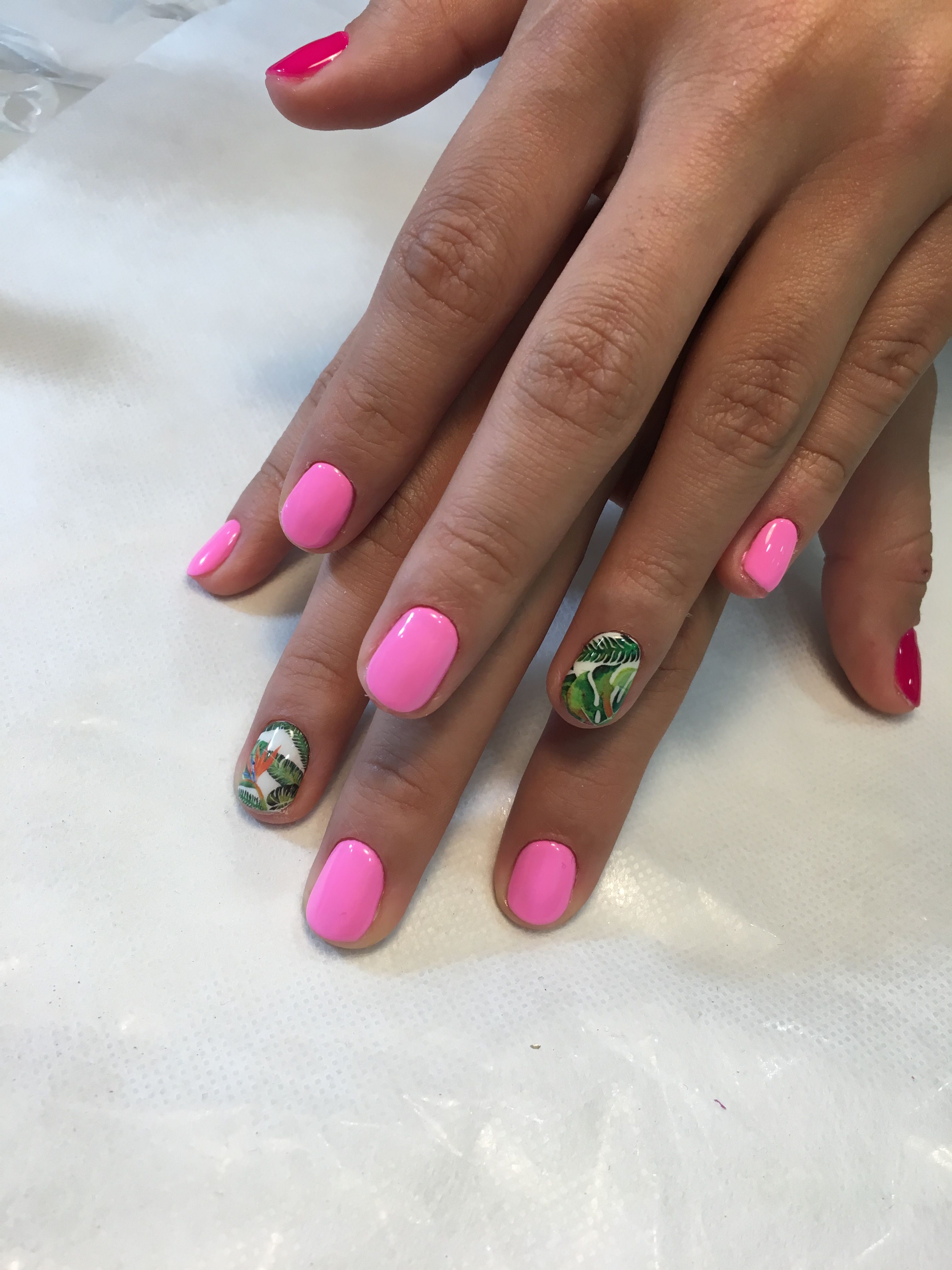 Manicura: Servicios de Bellissima Beauty Spa Manicura: Servicios de Bellissima Beauty Spa