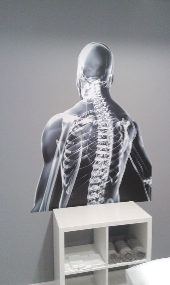 TRX: Servicios de Fisio+ TRX: Servicios de Fisio+